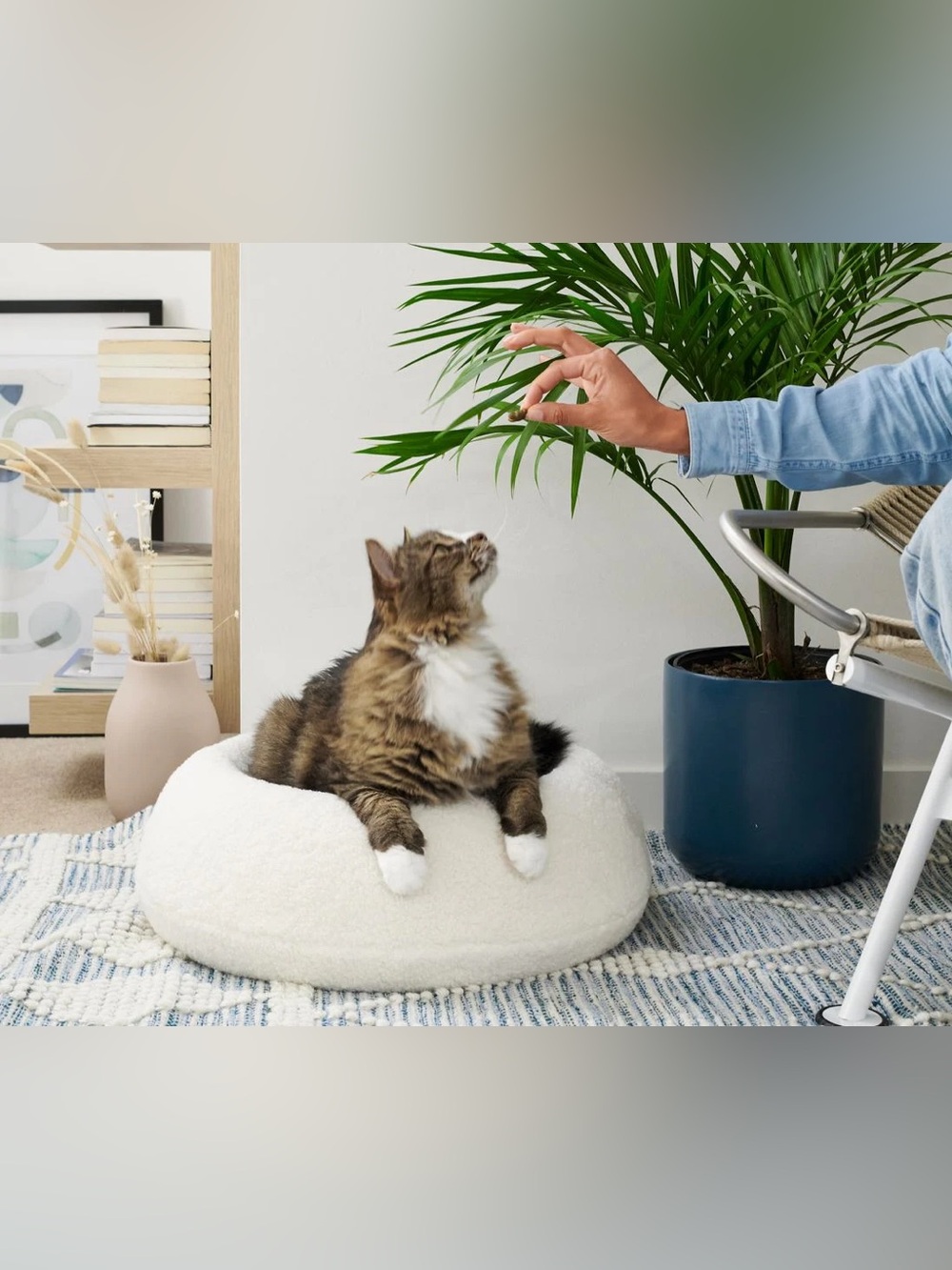 Tuft + Paw Plush Cream Round Sherpa “The Puff” Cat Bed - Picture 9 of 16